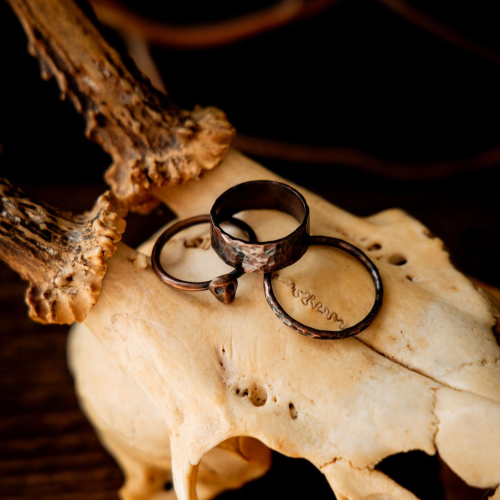 Three copper rings sat on an animal skull