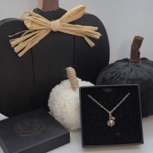 dark copper pumpkin pendant on silver chain displayed in jewellery box with display pumpkins behind them