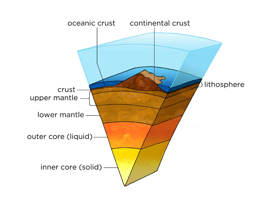 A layered image of the earth including crust and mantle.