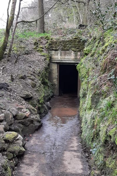 wood mine adit entrance