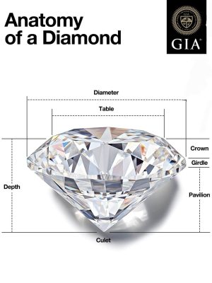 a diamond shaped object with words written around it showing all the different parts of a diamond including table, girdle, etc
