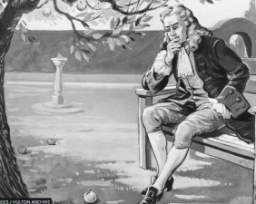 sir isaac newton sitting under a tree contemplating an apple